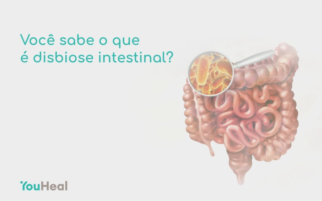 disbiose intestinal
