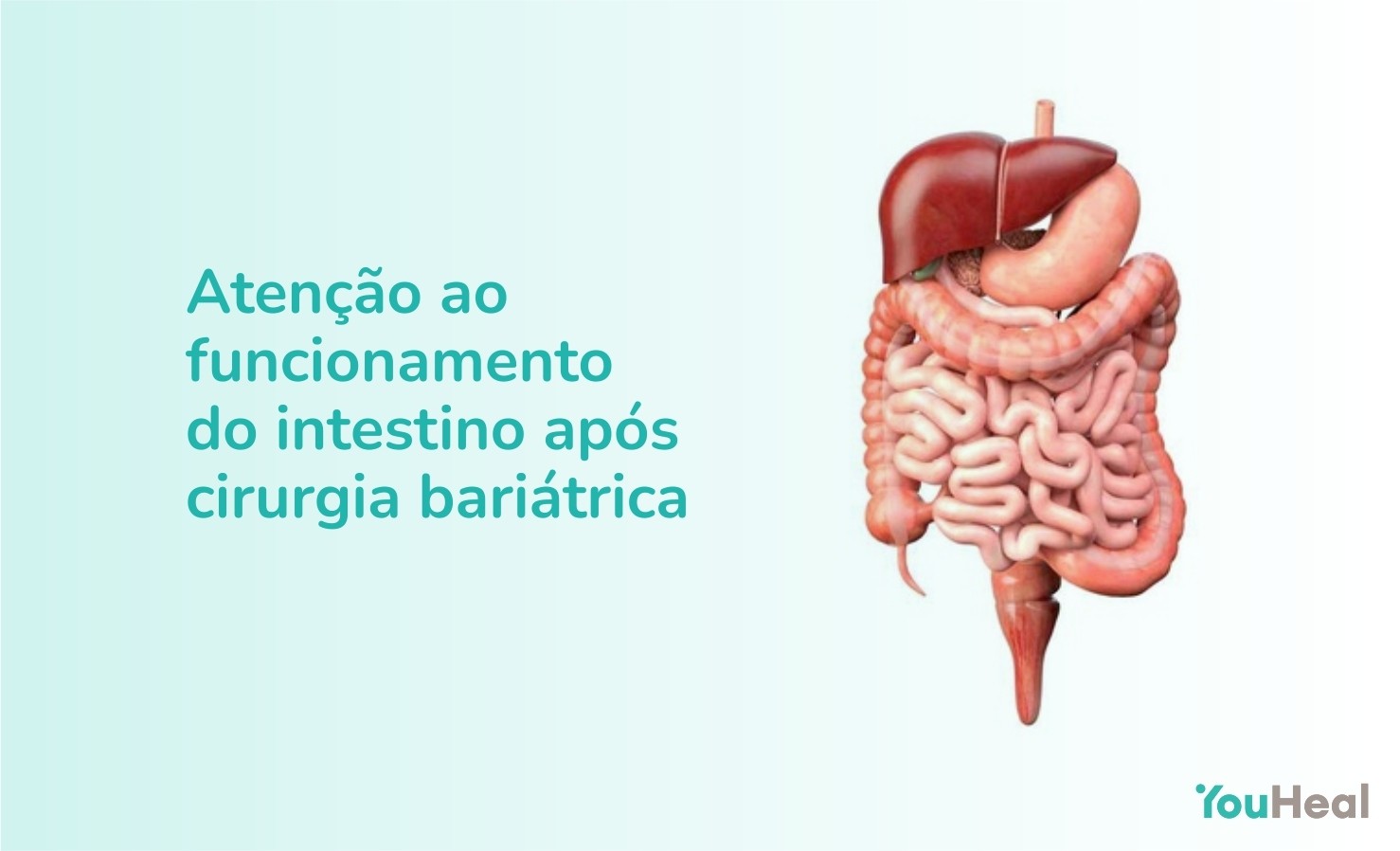 Atenção ao funcionamento do intestino após cirurgia bariátrica ...