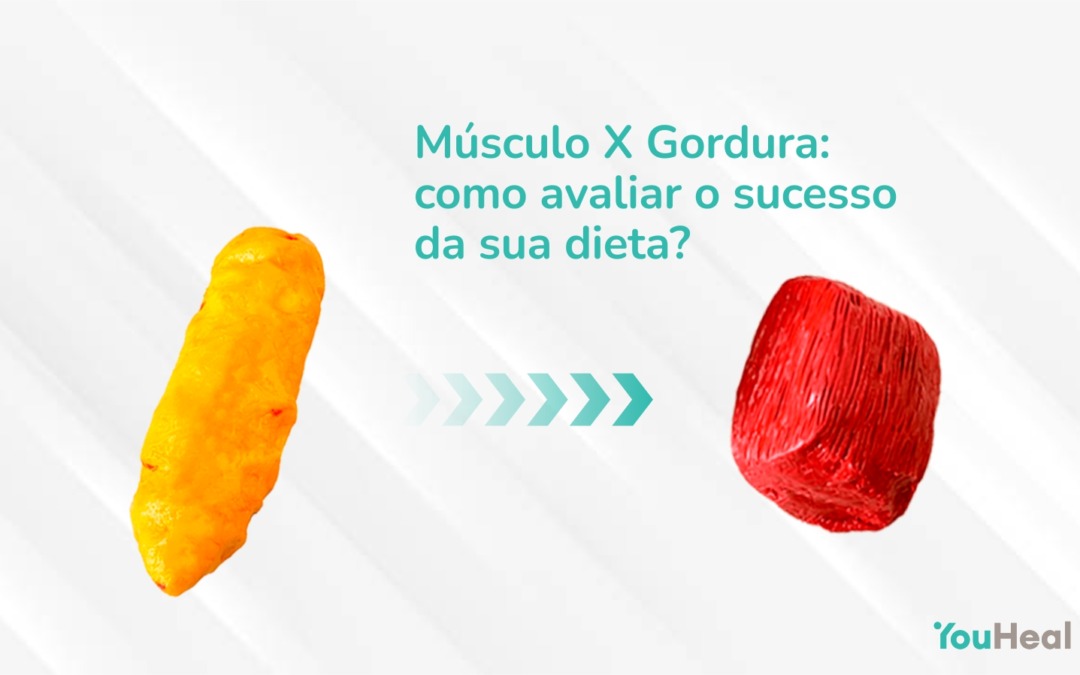 Músculo X Gordura: como avaliar o sucesso da sua dieta?
