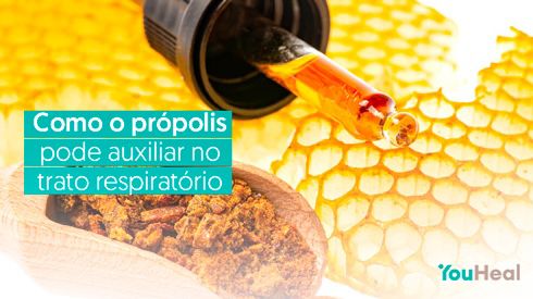 Como o própolis pode auxiliar no trato respiratório